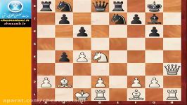 فیلم آموزش فارسی شطرنج هماهنگی سوارها chessok.ir