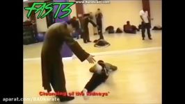 بدتر این ها هم پیدا شده قسمت۶ WORST MARTIAL ARTS