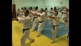کیهون وایپون وسانبون کمیته کیوکوشین کان کاراته