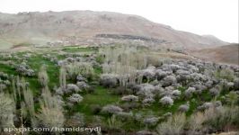 ویدئو کلیپ طبیعت بهاری روستای میرجان