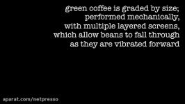 الک درجه بندی قهوه سبز Green Coffee Processing Size