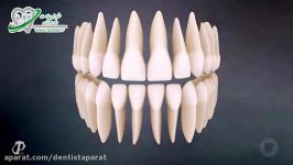 سلامت عمومی دهان دندان شما سایت مشاوران سلامت دندان