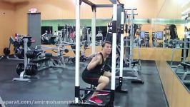 Total Body Strength Workout in the Gym