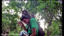 فریستایلران ایرانی در بالی قسمت دوم آبشار جنگل میمون