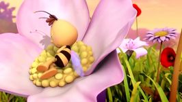 مایا زنبور عسل قسمت 4 مایا شکوفه های شبانگلیسی