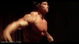 Arnold Schwarzenegger Bodybuilding Training