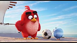 تریلر انیمیشن پرندگان خشمگین Angry Birds 2016