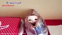 این پیشو خیلی نازه