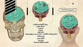 معجزه علمی قرآن در مورد مغز انسان