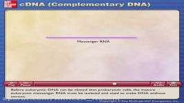 مراحل ساخته شدن cDNA یا Complementary DNA