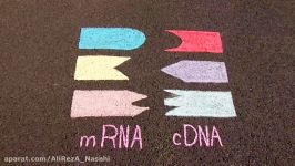 مراحل ساخته شدن cDNA یا Complementary DNA