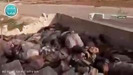 آبدان مطهر شهدا در حلب