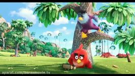 تریلر فیلم The Angry Birds Movie Ultimate Storyboo 2016