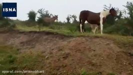 روستای پیلبند در حوالی تهران