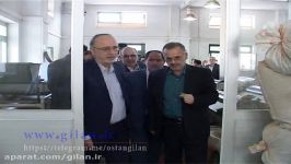 بازدیداستاندارگیلان ازکارخانجات وباغات چای شهرستان فومن