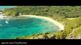 تریلر جدید فیلم The Shallows  تاینی موویز