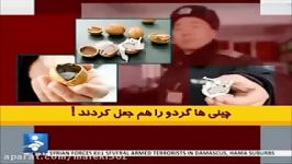 گردوی چینی تقلبی وارداتی دولت در ایران