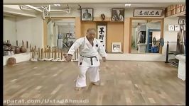 بدنسازی سبک قدیم کاراته اوکیناوا❊شین شی موریو هیگوآونا