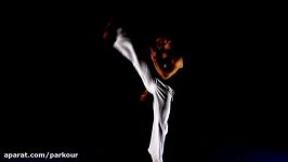 Capoeira  Rise From The Dark Fabio Santos