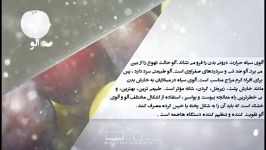 خواص غذایی درمانی آلو دانش تغذیه