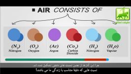 از کجا بدانم الله وجود دارد ؟ معجزه قرآن کریم