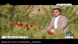 سید جمال موسوی مناجات ترکی شبکه اشراق زنجان