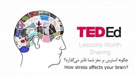 چگونه استرس بر مغز شما اثر می گذارد؟