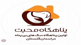 پناهگاه محبت گرگان یکشنبه مورخ 13950323