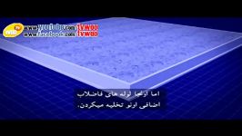 عظمت شکوه ایران باستان