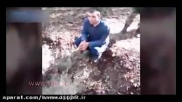 اعدام به شکلی وحشتناک توسط داعش +18