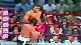 مسابقه بوکس Muhammad Ali vs Alfredo Evangelista