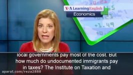 The Economics Report How Much Do Illegal Immigrants Pa