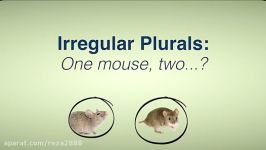 Everyday Grammar Irregular Plurals