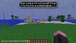✔ Minecraft 10 Things You Didnt Know About the Pig
