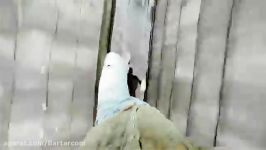 ویدئوی واقعی فرار دست زامبی ها