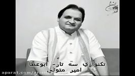 تكنوازی سه تار