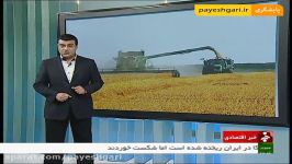خرید 3 میلیون تن گندم کشاورزان 20 استان