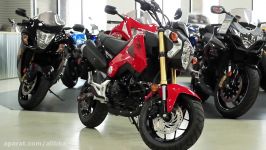 Honda Grom 2014  Review