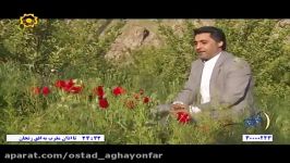 مناجات خوانی سید جمال موسوی