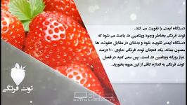 خواص غذایی درمانی توت فرنگی دانش تغذیه