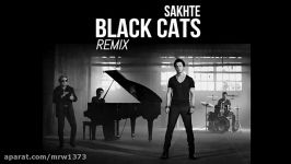 Black Cats  Sakhteh