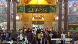 تصاویری ناب سحر میلاد امام حسن ع در حرم امام حسین ع