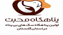 پناهگاه محبت گرگان یکشنبه مورخ 13950330