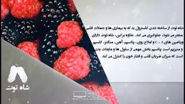 خواص غذایی درمانی شاه توت دانش تغذیه