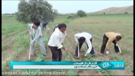 جهاد اقتصادی کشاورزان زبان روزه درشهر مرزی اصلاندوز