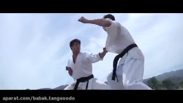 کلیپ هنرهای رزمیکاراته شوتوکانKARATE SHOTOKAN