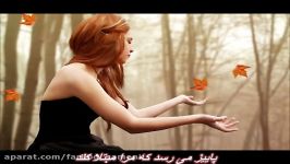 حجت اشرف زاده  پاییز