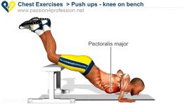 Push ups  knee on bench