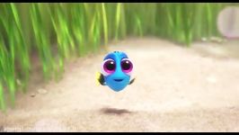 Baby Dory Clip  Finding Dory