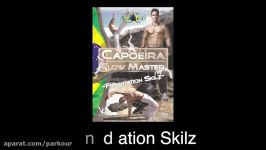 Learn Capoeira 3RUN Style